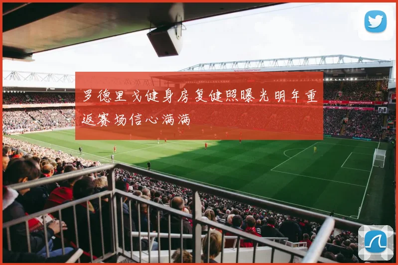 罗德里戈健身房复健照曝光明年重返赛场信心满满